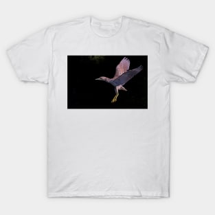 Juvenile Black-crowned Night Heron T-Shirt